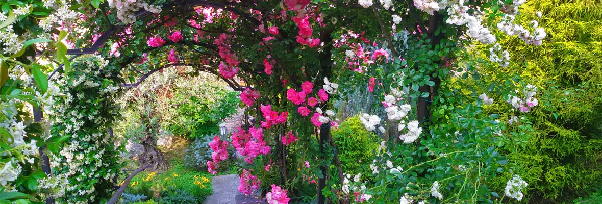 Hortus Milani Piante